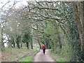 Track near Barrow Hill