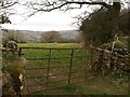 Gate and field near Narramore Farm