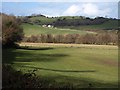 Meadows in the Teign valley