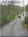 Footpath - Burnley Road