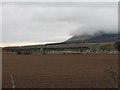 Fields near Burnside