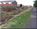 Rising Sun Country Park - Stream