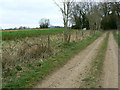 Footpath to Cranham Farm, near Marlborough