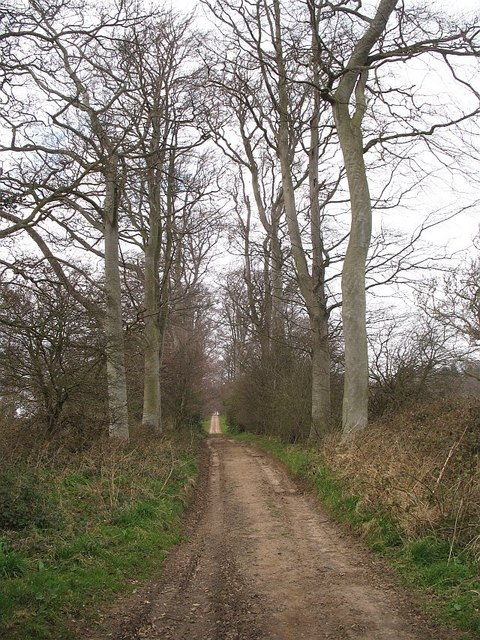 Estate road, Tyninghame © Richard Webb :: Geograph Britain and Ireland