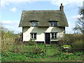 Thatched Cottage