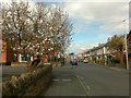 Waverley Avenue, Beeston