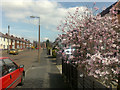 Salisbury Street, Beeston