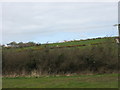 View uphill towards the hamlet of Penygraigwen