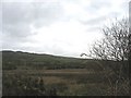 SH4587 : Marshland in the Afon Goch valley by Eric Jones