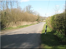 SU7313 : Looking westwards in Ashcroft Lane by Basher Eyre