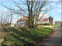 NT7569 : Houses at Hoprig by James Denham