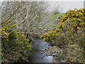 Afon Goch upstream of Pont Felin Esgob