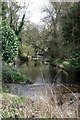 The River Sowe at Baginton Bridge