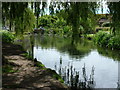 Mill pond, Sutton Poyntz