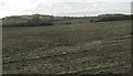 View across a ploughed field towards the ruined Plas Llandyfrydog farmhouse