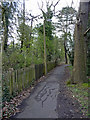 Footpath, Chase Side, London N14