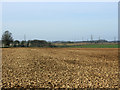 2009 : Cotswold view south of West Kington