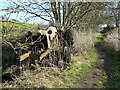 Path south of Waterloo Farm