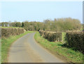 2009 : Quiet lane on the Cotswolds