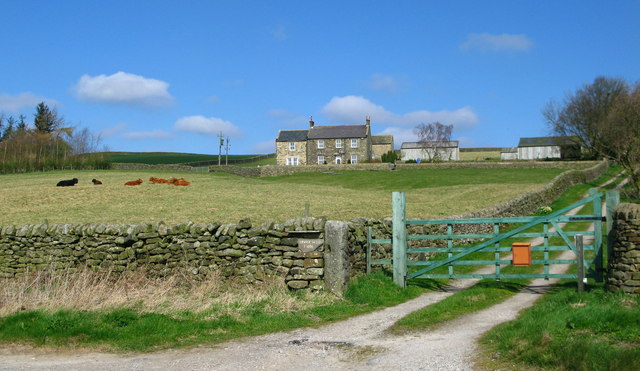 Bishop Keld Farm © David Rogers cc-by-sa/2.0 :: Geograph Britain and ...