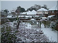 Snowy gardens, Gainsborough Road