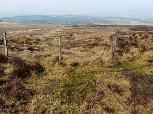 Junction of fences