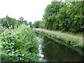 Tiverton : Heathcoat Leat