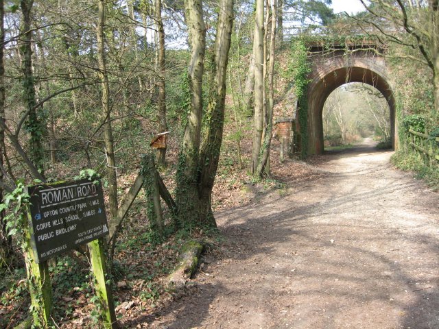 Railway arch, Upton Heath