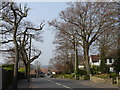 Street Scene, Higher Drive, Purley