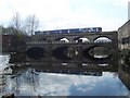 Norfolk Bridge from Burton Weir