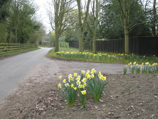 Ridgeway Lane at Snowford House