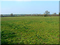 Farmland near Lower Pavenhill, Purton