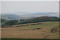 Above Bishopcleuch