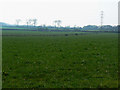 Field near No Parish Farm