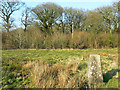 Worthy Hill Farm triangulation pillar, Ravensroost Wood