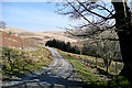 Cwm Pysgotwr Fawr at Bryn Ambor, Ceredigion