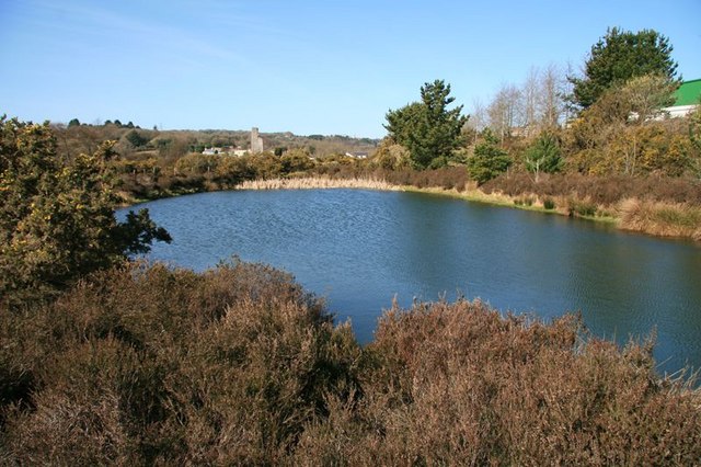 Bissoe Valley Nature Reserve