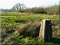 Triangulation pillar and the edge of a bridleway, near Ravensroost Wood