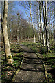 Solway Woodland Trail