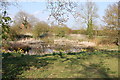 Pond near Udimore Church