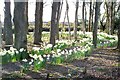 Garden of Remembrance, Zoar, Llanteg