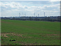 Winter Wheat - Field off the B1430