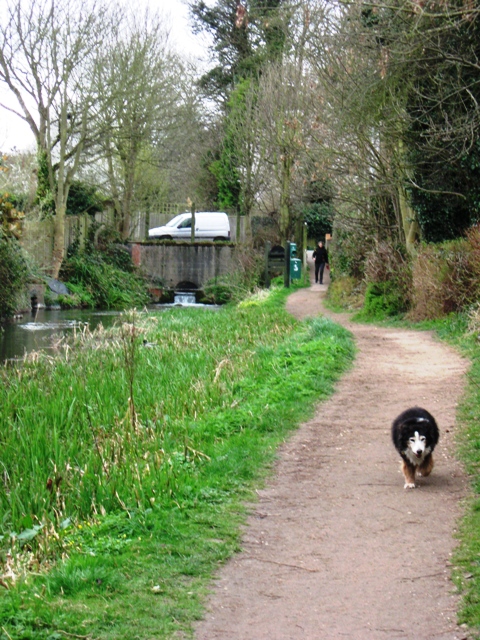 Wendover Arm: The Start of the Grand Union Canal Walk