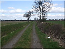 SE6612 : Johnston's Road to Ashfield Grange Farm by Glyn Drury