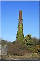 SW7244 : Engine house chimney, Hallenbeagle copper mine by John Gibson