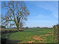 Field entrance, Clayhill Farm