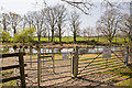 Eastleigh & District Angling Club private fishing pond