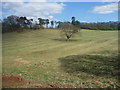 Field near the railway, Witley