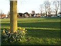 The village green at Writtle