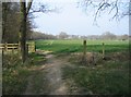 Field boundary - Lodge Farm